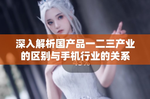 深入解析国产品一二三产业的区别与手机行业的关系