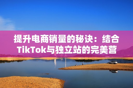 提升电商销量的秘诀：结合TikTok与独立站的完美营销策略