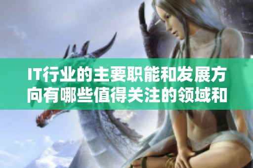 IT行业的主要职能和发展方向有哪些值得关注的领域和机会