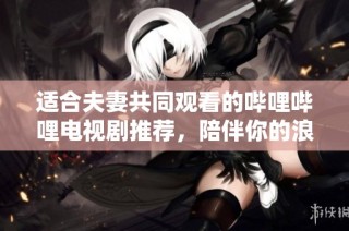 适合夫妻共同观看的哔哩哔哩电视剧推荐，陪伴你的浪漫时光