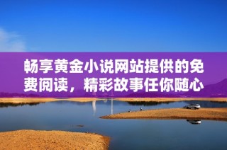 畅享黄金小说网站提供的免费阅读，精彩故事任你随心探索