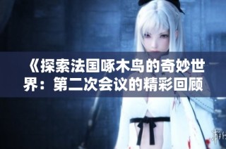 《探索法国啄木鸟的奇妙世界：第二次会议的精彩回顾与展望》