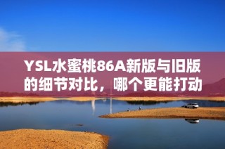 YSL水蜜桃86A新版与旧版的细节对比，哪个更能打动你的心？