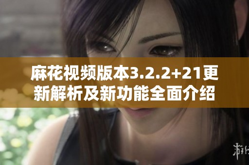 麻花视频版本3.2.2+21更新解析及新功能全面介绍